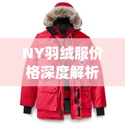 NY羽絨服價格深度解析，了解真實(shí)價格，選購更明智！