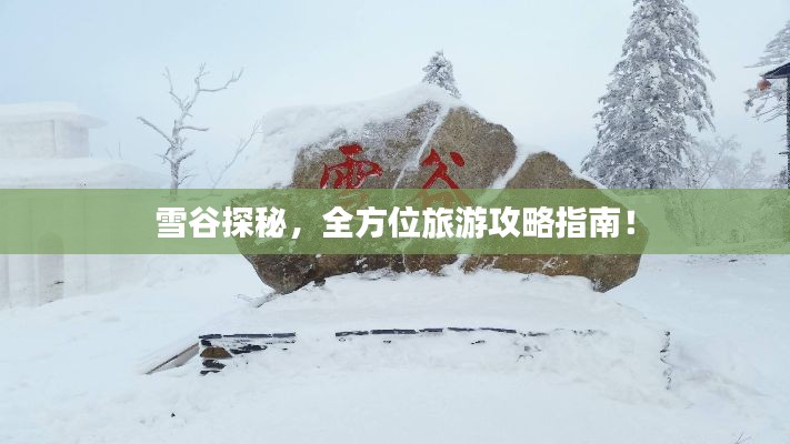 雪谷探秘，全方位旅游攻略指南！