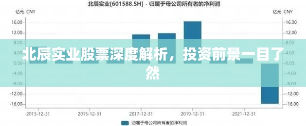 北辰實(shí)業(yè)股票深度解析，投資前景一目了然