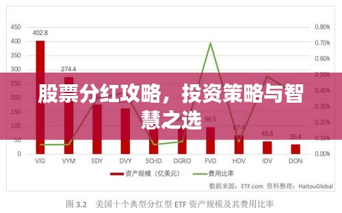 股票分紅攻略，投資策略與智慧之選