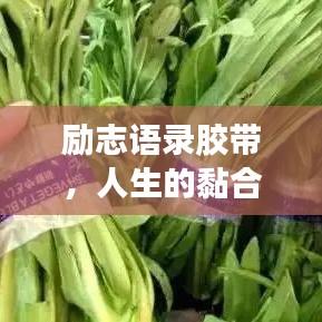 勵志語錄膠帶，人生的黏合劑，引領(lǐng)你走向成功之路