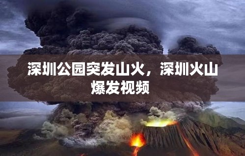 深圳公園突發(fā)山火，深圳火山爆發(fā)視頻 