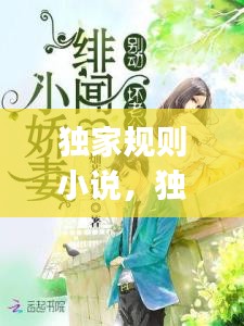 獨家規(guī)則小說，獨家jiyi 