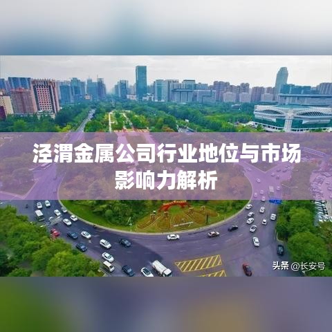 涇渭金屬公司行業(yè)地位與市場影響力解析