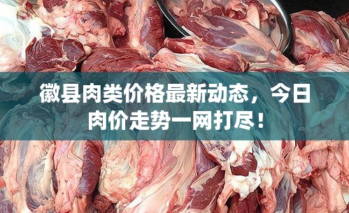 徽縣肉類價(jià)格最新動(dòng)態(tài)，今日肉價(jià)走勢一網(wǎng)打盡！