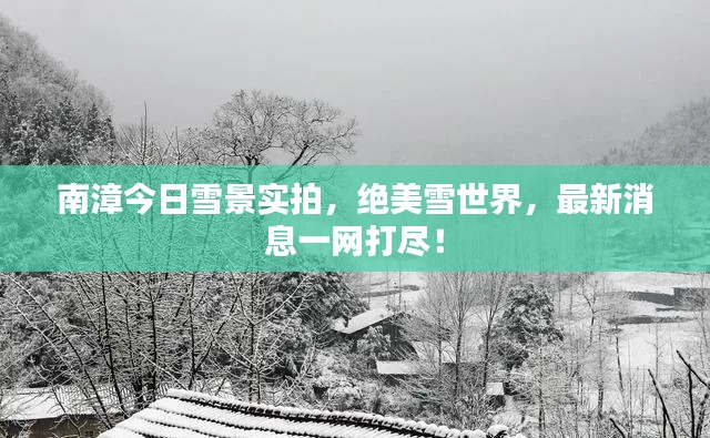 南漳今日雪景實拍，絕美雪世界，最新消息一網(wǎng)打盡！