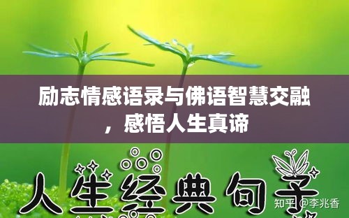 勵志情感語錄與佛語智慧交融，感悟人生真諦