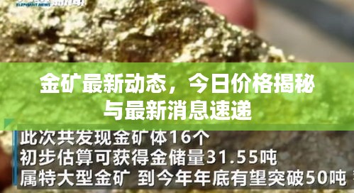 金礦最新動態(tài)，今日價格揭秘與最新消息速遞