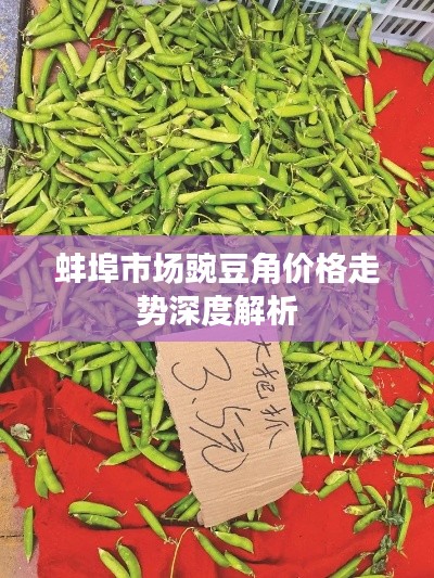 蚌埠市場(chǎng)豌豆角價(jià)格走勢(shì)深度解析