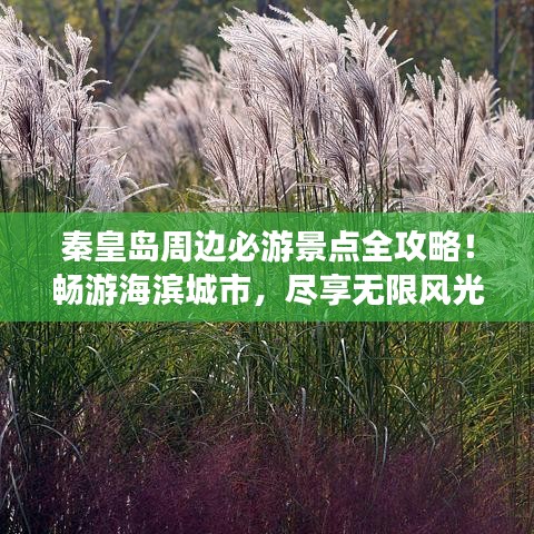 秦皇島周邊必游景點全攻略！暢游海濱城市，盡享無限風光