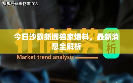 今日沙霸新聞獨(dú)家爆料，最新消息全解析