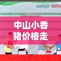 中山小香豬價格走勢大揭秘，最新行情分析！