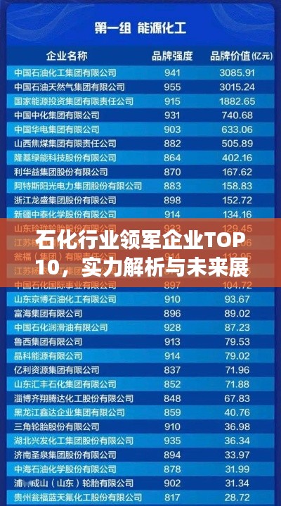 石化行業(yè)領(lǐng)軍企業(yè)TOP10，實(shí)力解析與未來展望