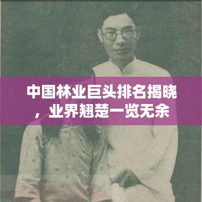 中國林業(yè)巨頭排名揭曉，業(yè)界翹楚一覽無余