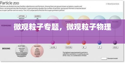 微觀粒子專題，微觀粒子物理 