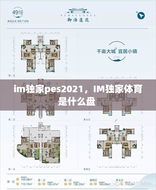 im獨(dú)家pes2021，IM獨(dú)家體育是什么盤 