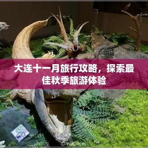 大連十一月旅行攻略，探索最佳秋季旅游體驗(yàn)