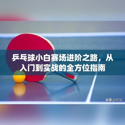 乒乓球小白賽場進(jìn)階之路，從入門到實(shí)戰(zhàn)的全方位指南