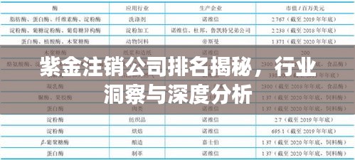 紫金注銷公司排名揭秘，行業(yè)洞察與深度分析