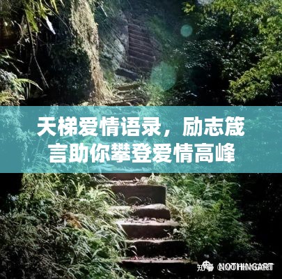 天梯愛情語錄，勵(lì)志箴言助你攀登愛情高峰