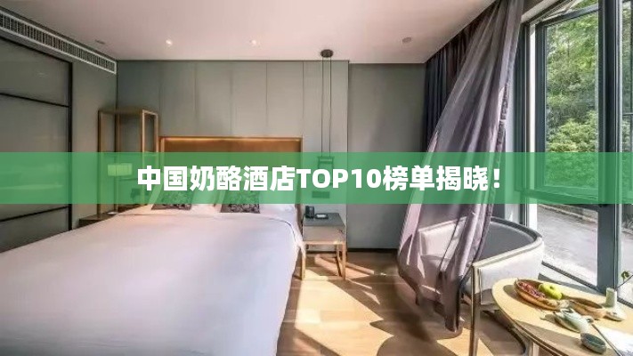 中國奶酪酒店TOP10榜單揭曉！