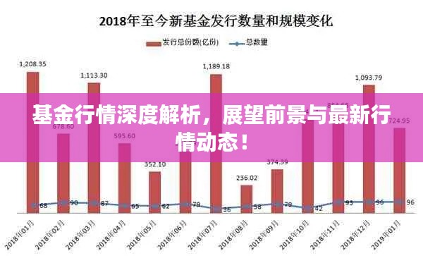 基金行情深度解析，展望前景與最新行情動態(tài)！