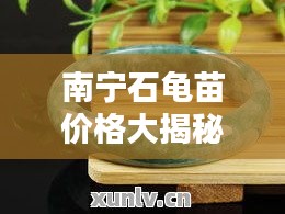 南寧石龜苗價格大揭秘，最新行情分析！