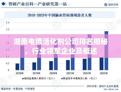 湖南電鍍活化劑公司排名揭秘，行業(yè)領軍企業(yè)及概述