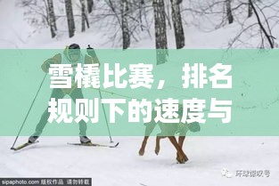 雪橇比賽，排名規(guī)則下的速度與激情角逐