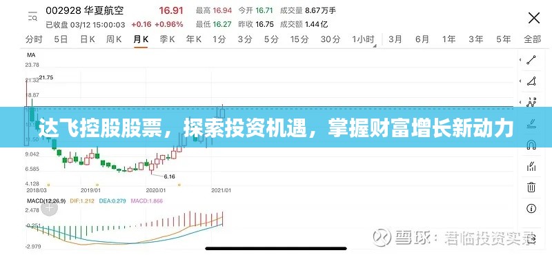 達飛控股股票，探索投資機遇，掌握財富增長新動力