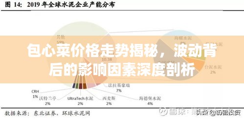 包心菜價格走勢揭秘，波動背后的影響因素深度剖析