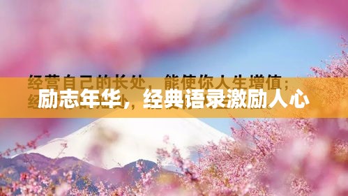 勵志年華，經(jīng)典語錄激勵人心