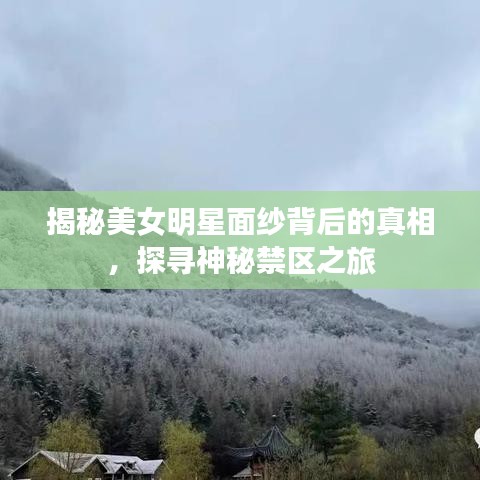 揭秘美女明星面紗背后的真相，探尋神秘禁區(qū)之旅