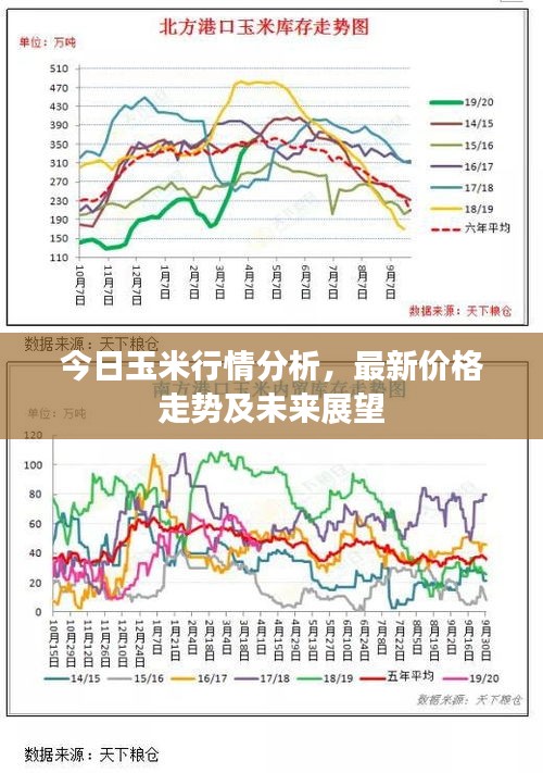 今日玉米行情分析，最新價(jià)格走勢(shì)及未來展望