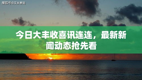 今日大豐收喜訊連連，最新新聞動態(tài)搶先看