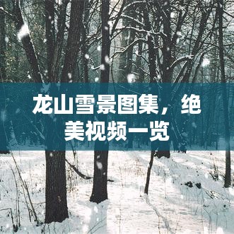 龍山雪景圖集，絕美視頻一覽