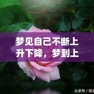 夢(mèng)見(jiàn)自己不斷上升下降，夢(mèng)到上升然后極速下落 