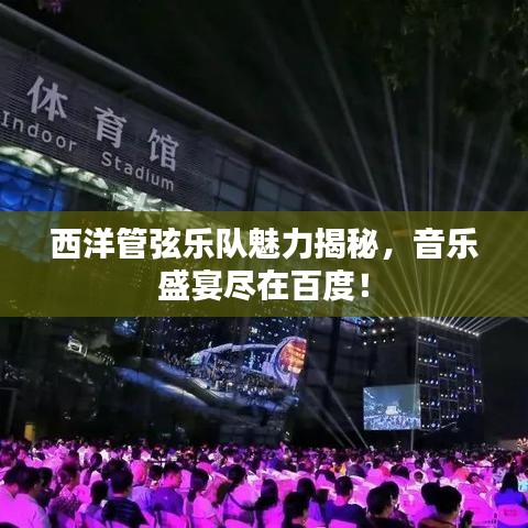 西洋管弦樂隊(duì)魅力揭秘，音樂盛宴盡在百度！