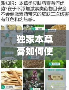 獨(dú)家本草膏如何使用，獨(dú)家本草膏有副作用嗎 