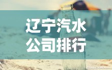 遼寧汽水公司排行榜揭曉，誰領(lǐng)風(fēng)騷？