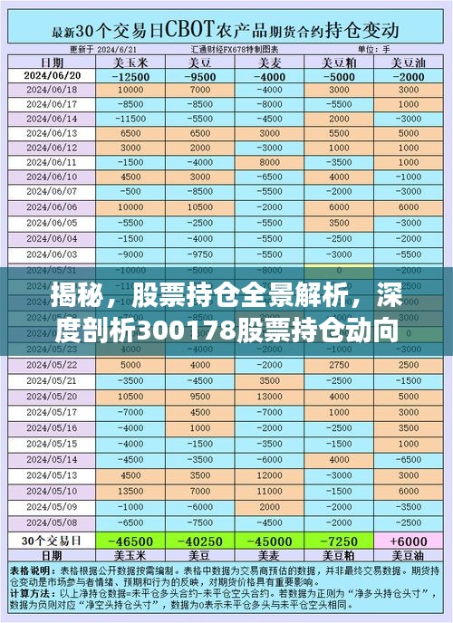 揭秘，股票持倉全景解析，深度剖析300178股票持倉動向