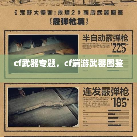 cf武器專題，cf端游武器圖鑒 