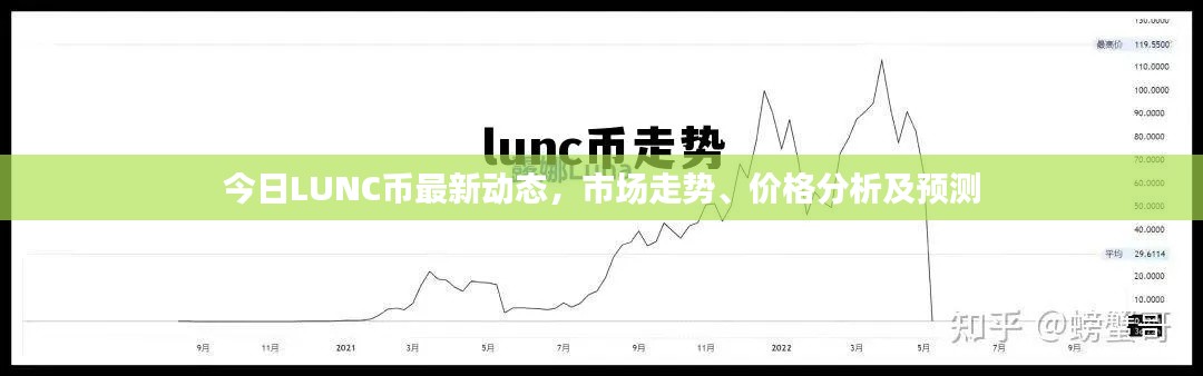 今日LUNC幣最新動態(tài)，市場走勢、價格分析及預(yù)測