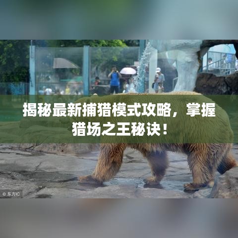 揭秘最新捕獵模式攻略，掌握獵場之王秘訣！