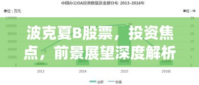 波克夏B股票，投資焦點(diǎn)，前景展望深度解析