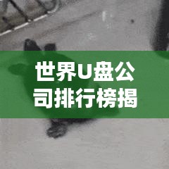 世界U盤公司排行榜揭曉，行業(yè)巨頭一覽無余！