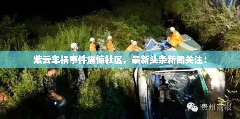 紫云車禍?zhǔn)录痼@社區(qū)，最新頭條新聞關(guān)注！